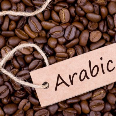 Cà Phê hạt Nguyên Chất Arabica - Arabica Pure Coffee